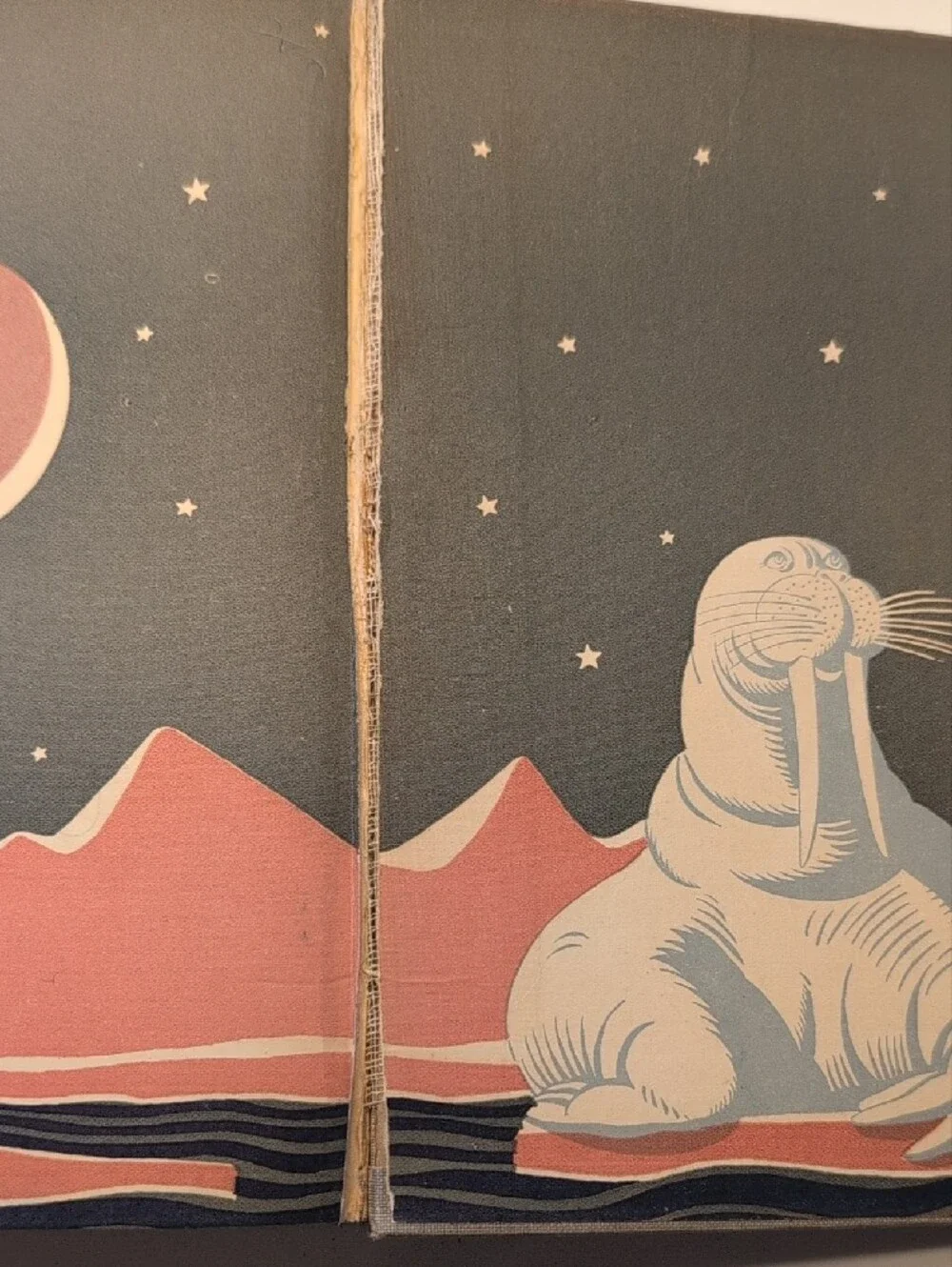 Vintage 1922 My Northern Exposure 1st Ed Antique Book Rare Collectible UNIQUE